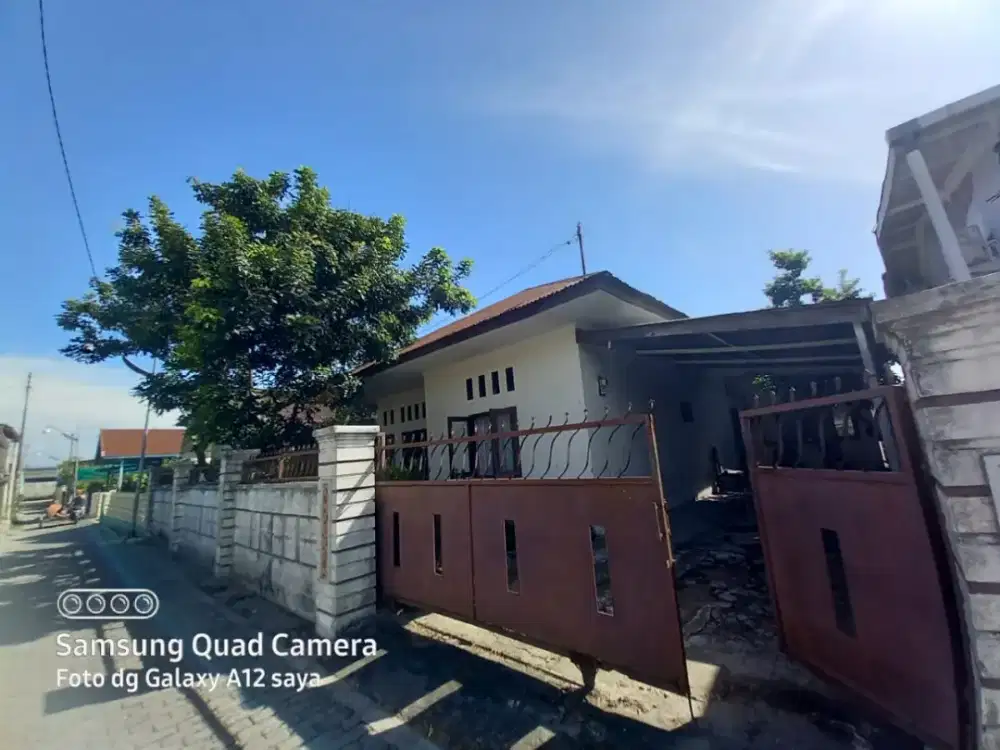 Rumah disewakan