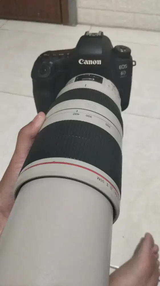 CANON 6D MARK II + 100-400MM IS II USM