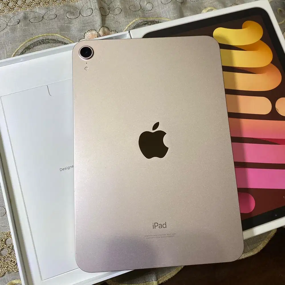 iPad Mini 6 Pink 256 Gb