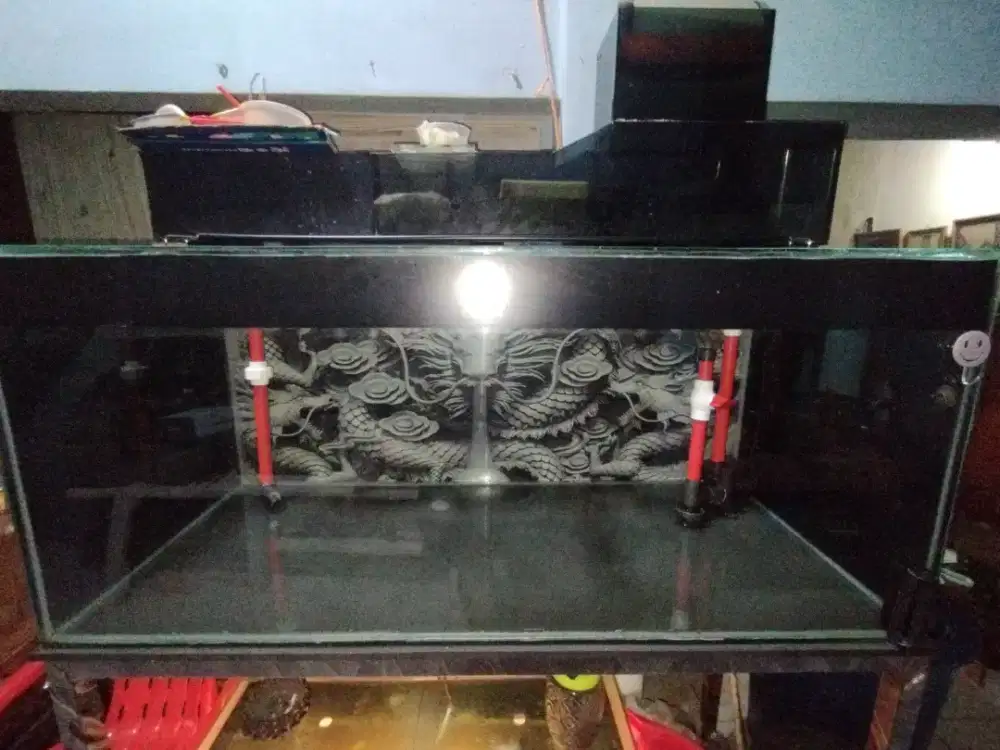 aquarium 120cm tank