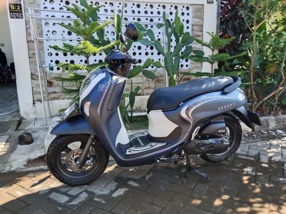Scoopy New 2025