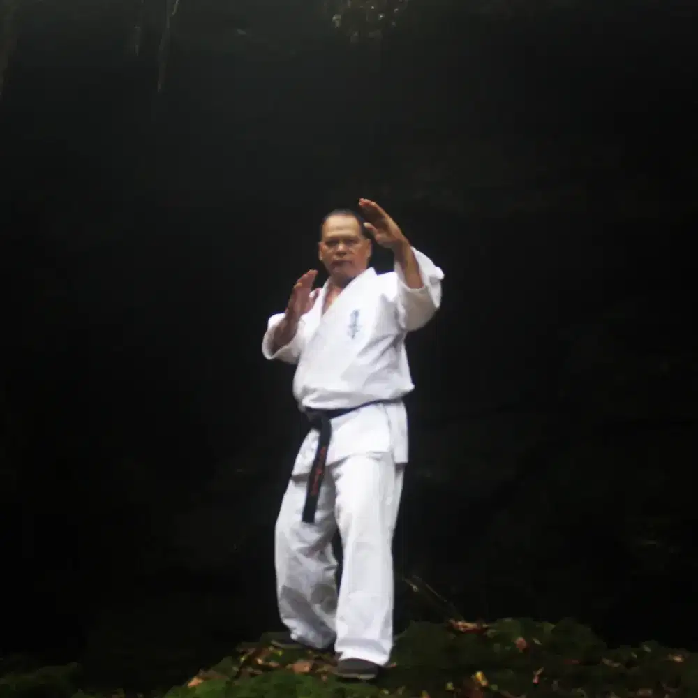 Pelatih Bela Diri Karate Kyokushin/MMA