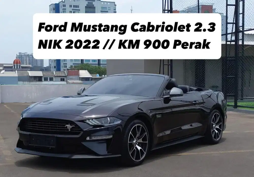 FORD MUSTANG CABRIOLET 2.3 ECOBOOST 2022 - MISCHIEVOUS PURPLE ON BLACK