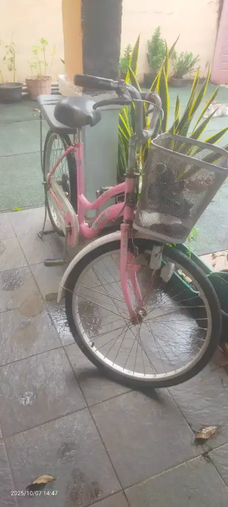 Sepeda cewek sedang