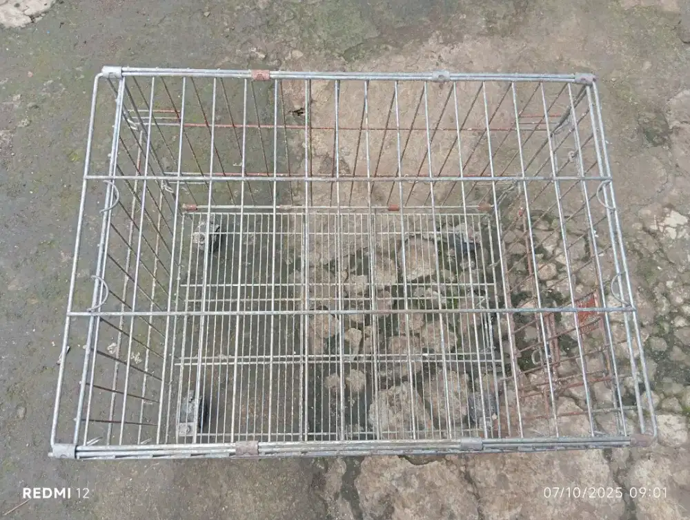 Kandang kucing/ayam/anjing