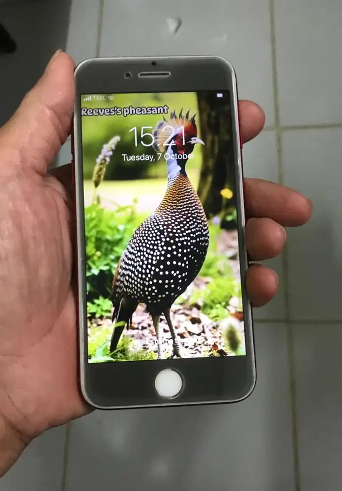 iPhone 7 - 128GB
