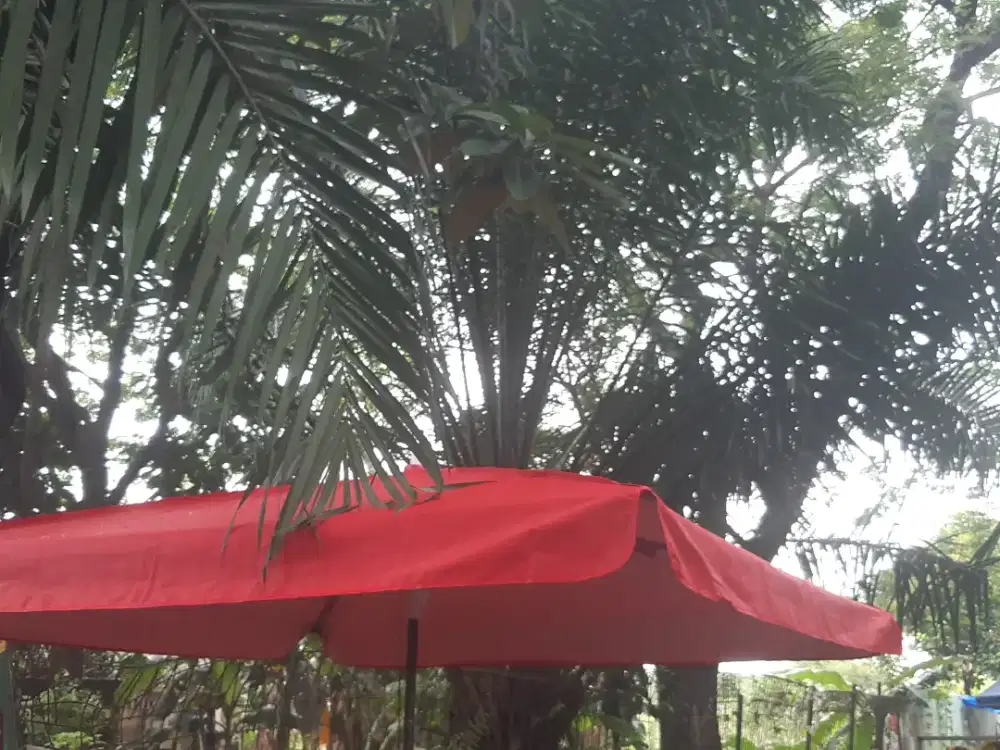 Payung kotak double layer UV 220 cm