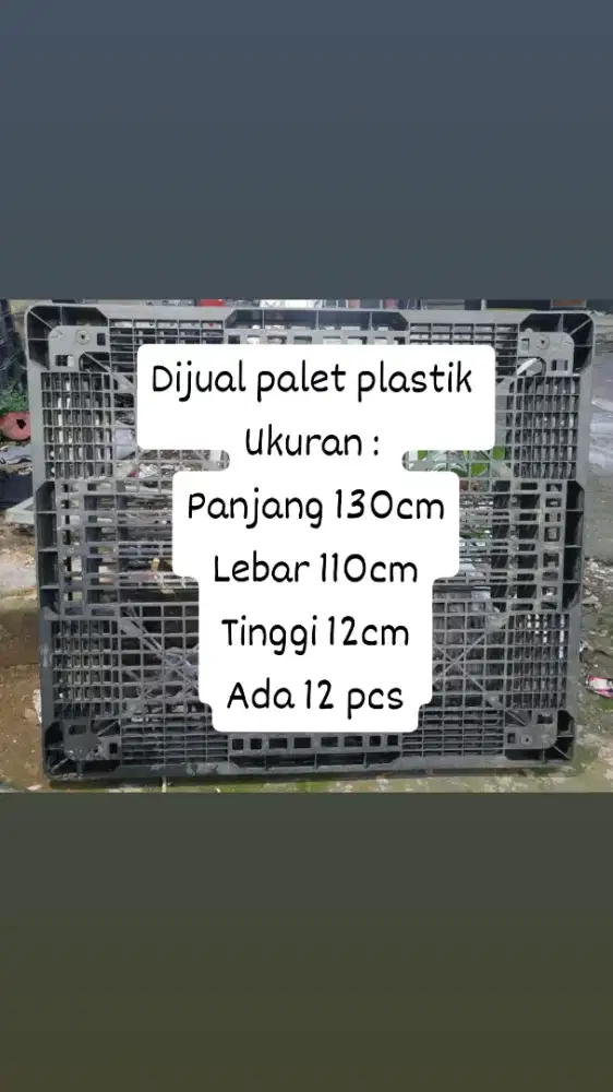 Palet plastik murah meriah