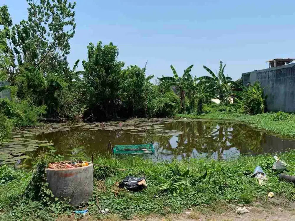 Dijual Tanah Medokan Sawah Rungkut Surabaya