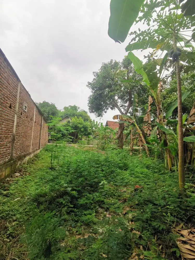 TANAH DIJUAL TANPA PERANTARA