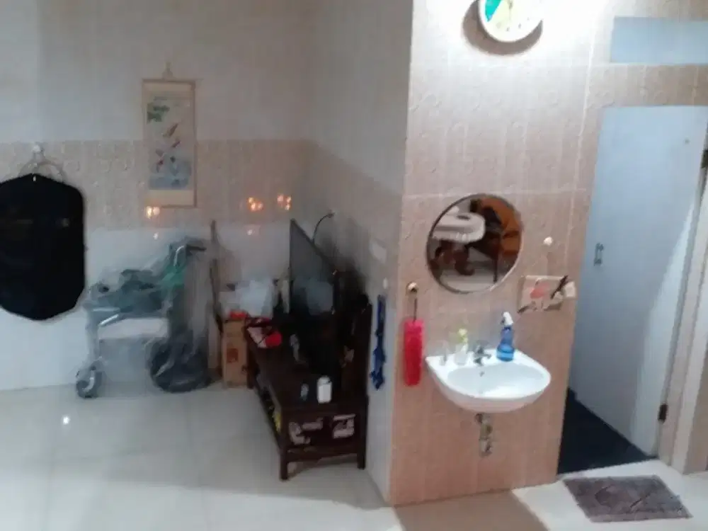 Rumah Taman Palem Lestari ( uk 6 x 15m)