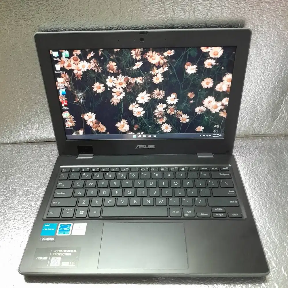 Asus BR110ck celeron n4500 Ram 8gb ssd 128gb