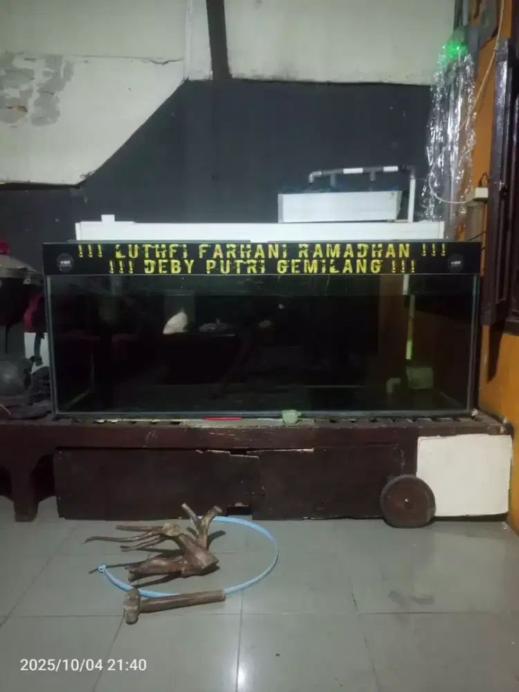 AQUARIUM IKAN HIAS ATAU PREDATOR