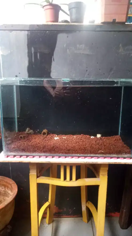 AQUARIUM IKAN HIAS