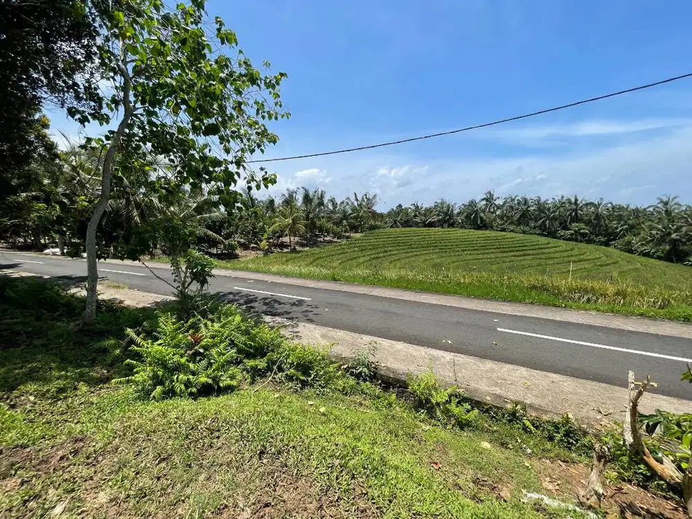 100 are di jual tanah of land, beautiful ricefields, ocean sunset view