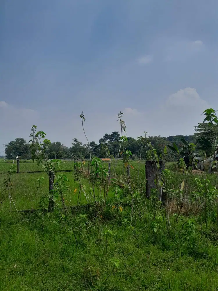 DI JUAL TANAH KAVLING LT 450m² LOKASI KELAPA NUNGGAL , CILEUNGSI