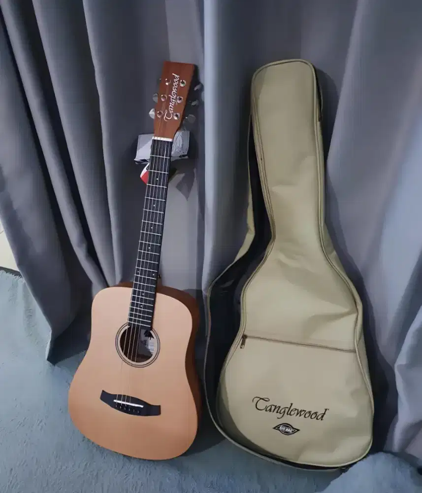 Tanglewood Winterleaf TW2 TSE Akustik Elektrik