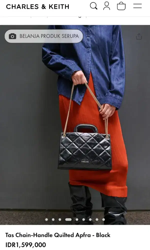 Tas Charles and keith new