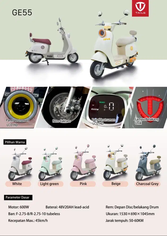 Sepeda Listrik Tailg GE55 600W