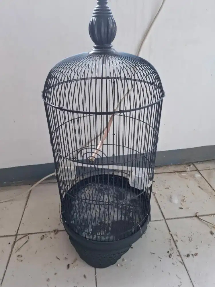Kandang love bird fullset