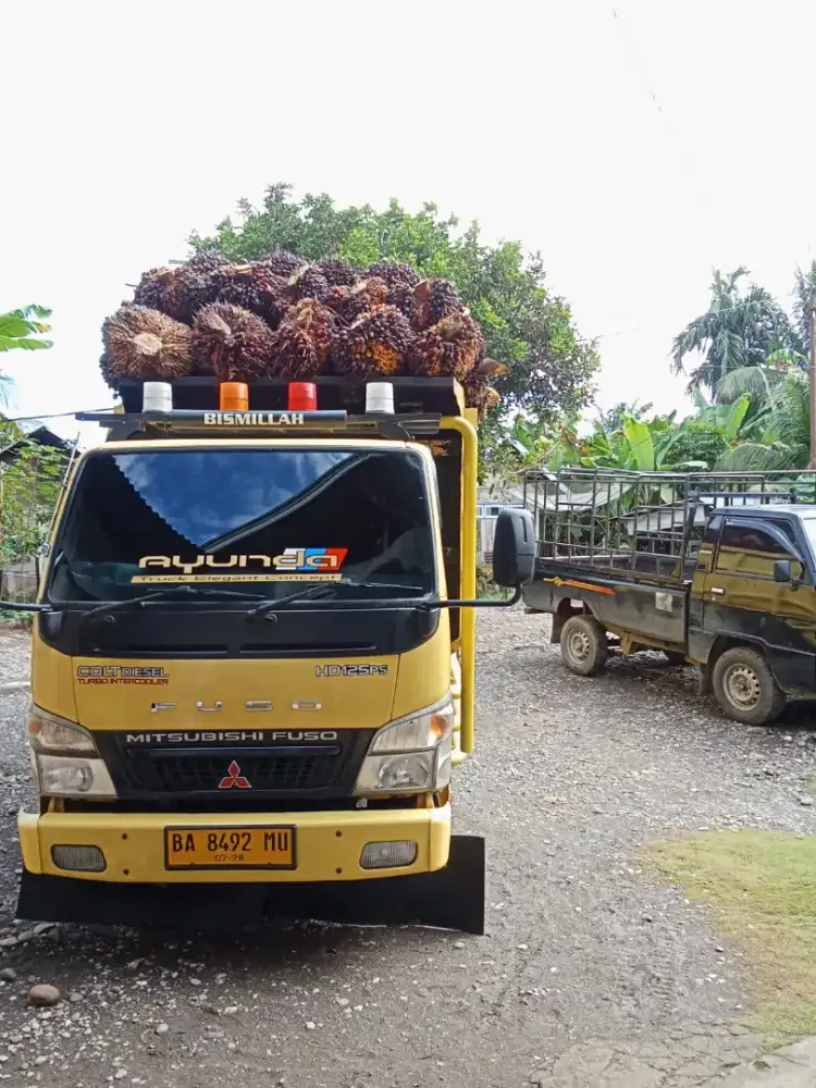 Mobil canter tahun 2013