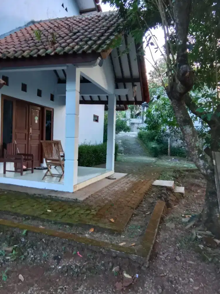 Dijual rumah + toko