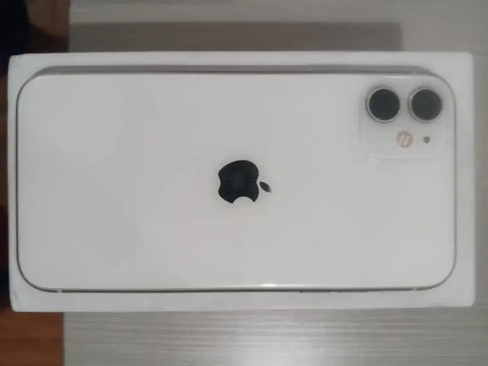 iPhone 11 256 GB