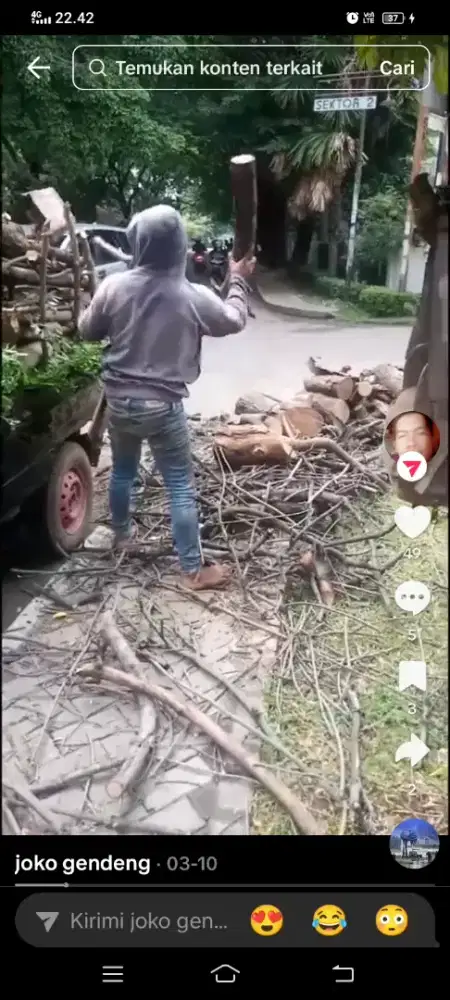 Tepang pohon buang puing dll