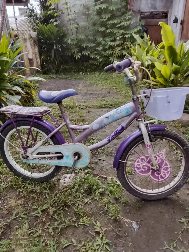 Jual sepeda anak..
