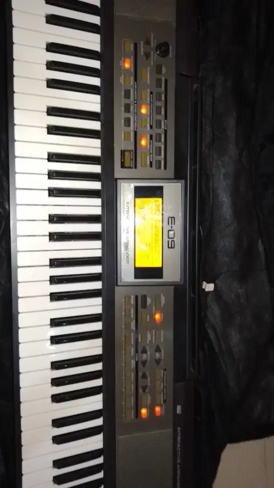 Roland e09i mulus normal