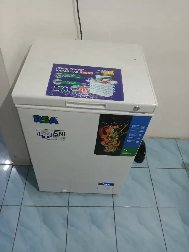 Freezee box RSA 100L