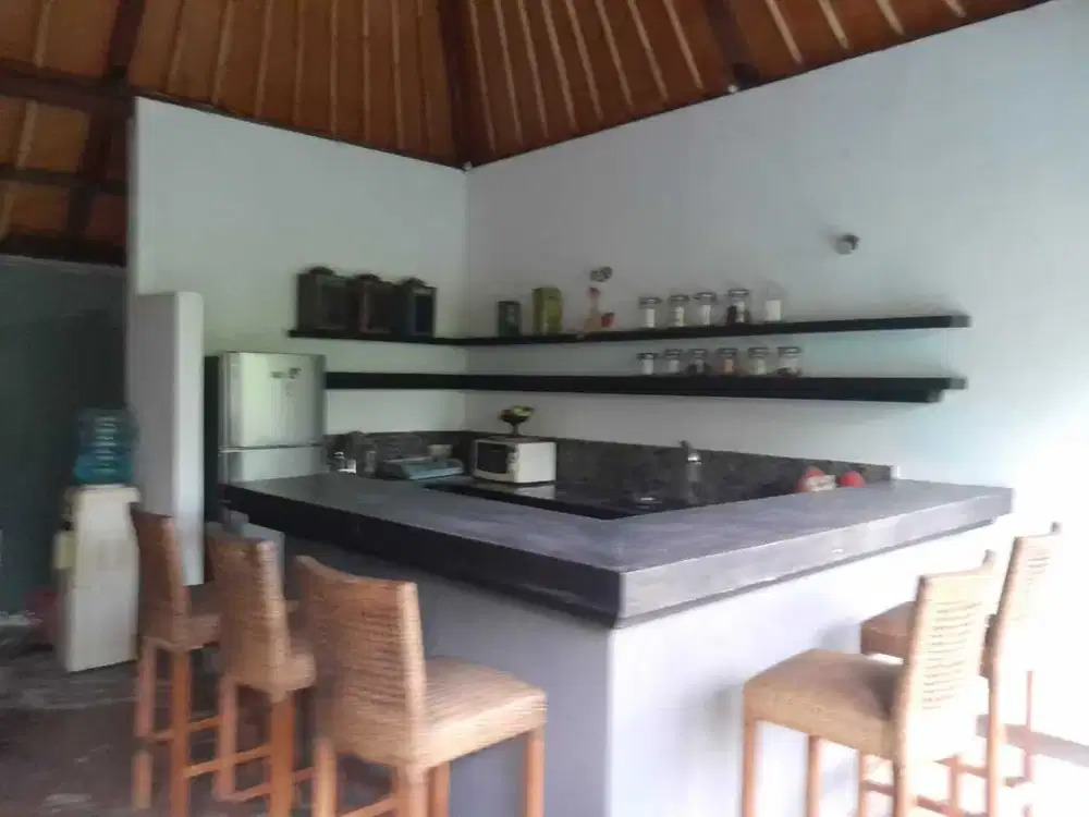 Villa tropical for rent Ungasan