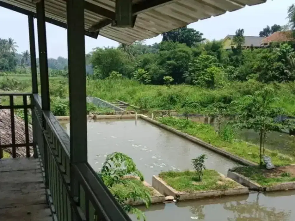 Tanah Dijual di Dramaga Luas 7000m