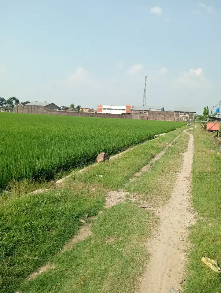 Tanah dekat lampu merah Pungkruk Sragen