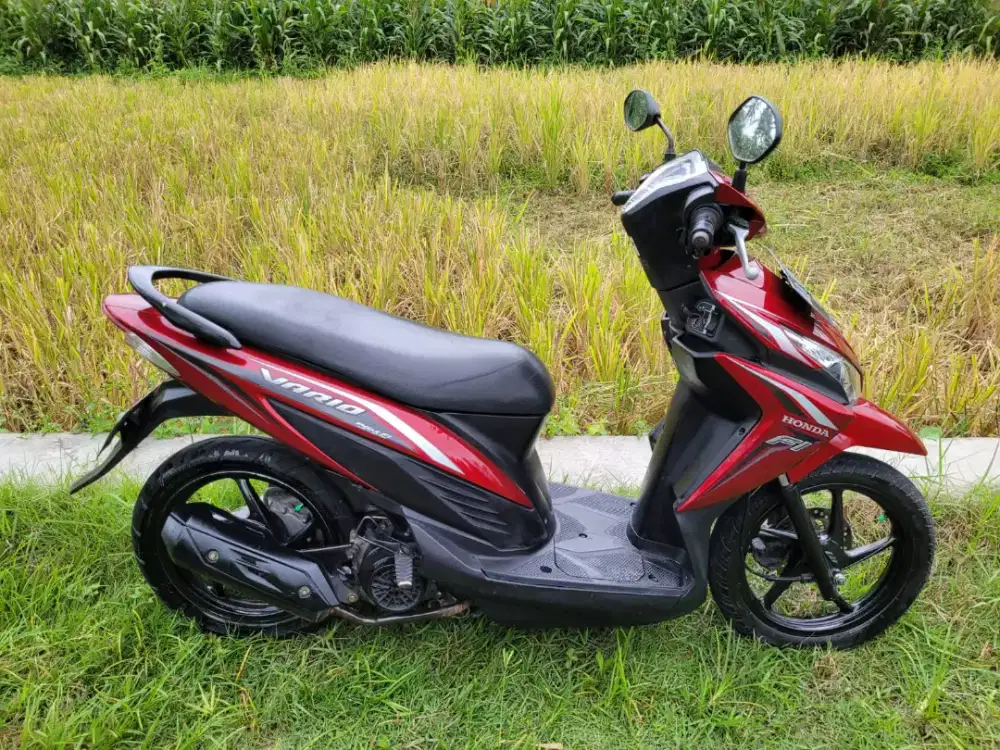 VARIO 110 ESP 2016