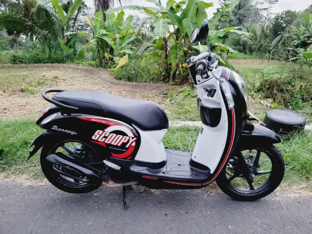 SCOOPY ESP ISS 2015