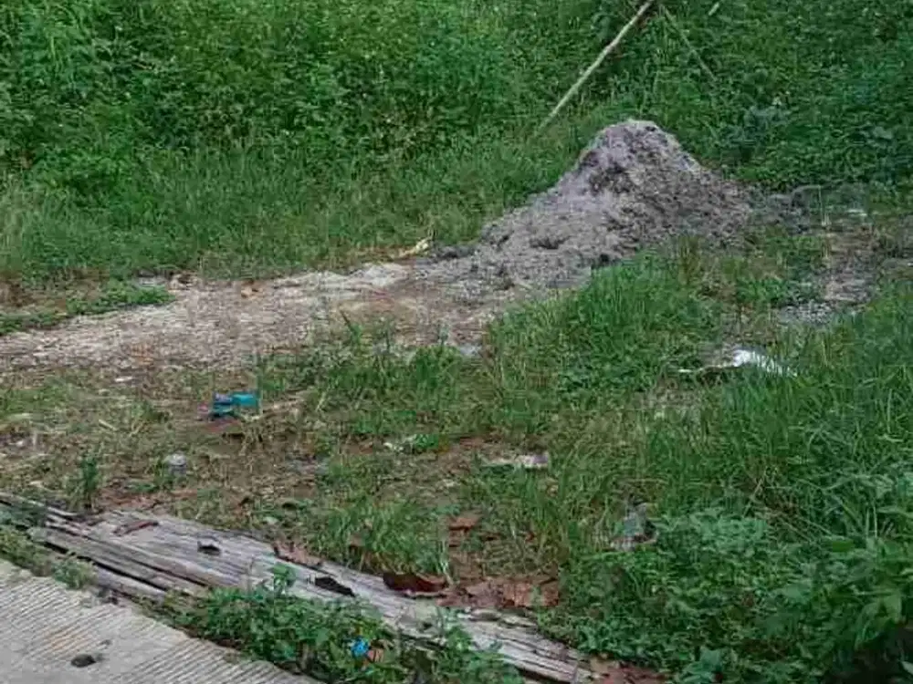 Tanah murah 103 m2 Kalimulya Depok
