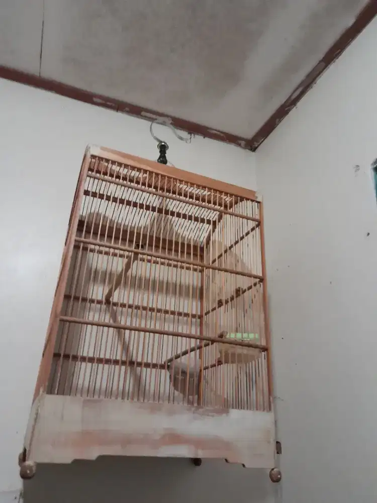 Kandang kotak no2 jati