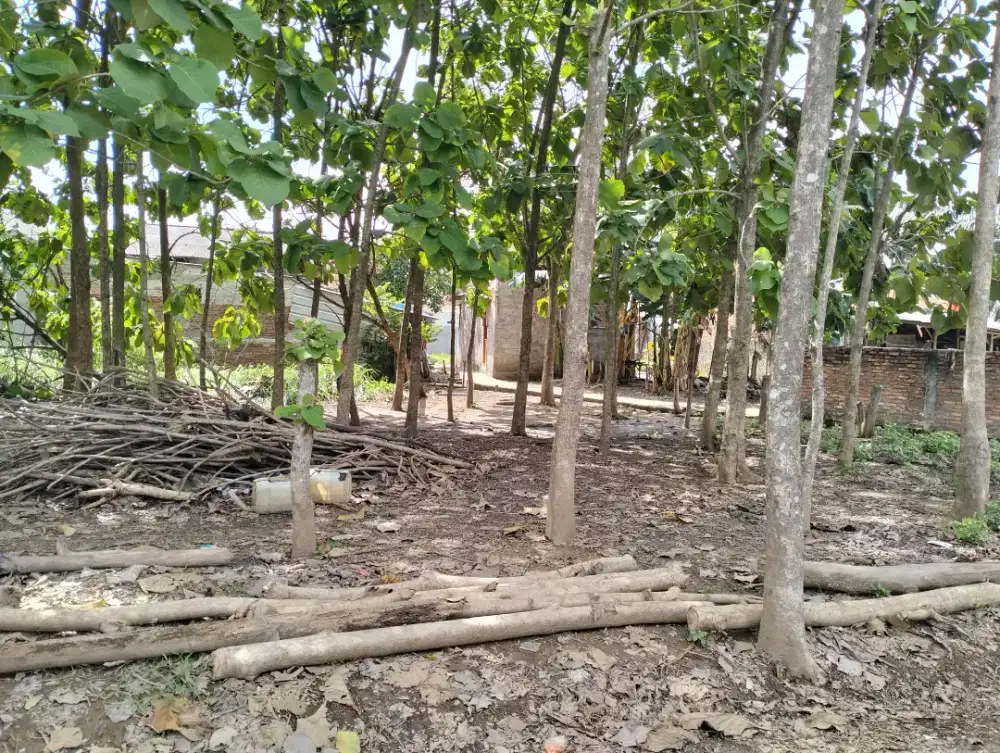 Jual tanah kosong di Kebalen / Babelan 100m2 + 300m2 + 400m2