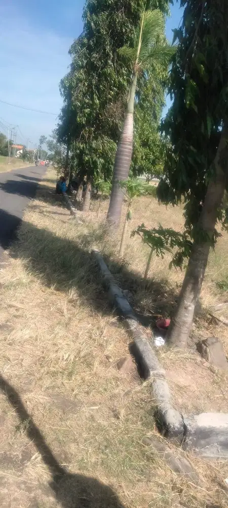 Jual rumah dan pekarangan