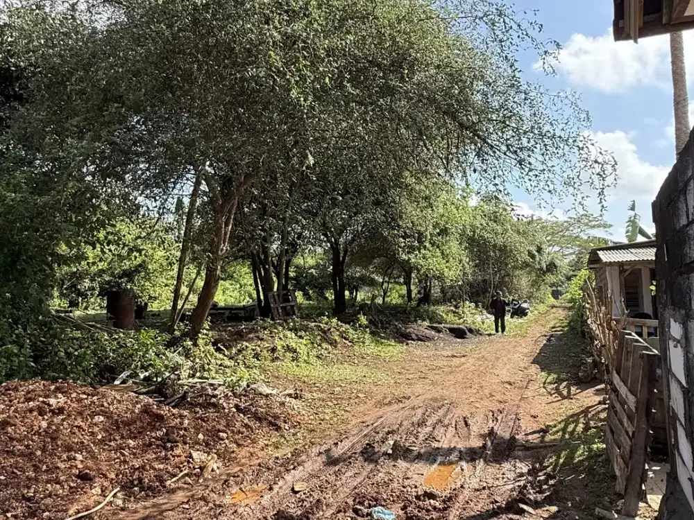 BUC Dijual Murah dan Cepat Tanah di Jl Jepun Puri Gading Jimbaran Bali