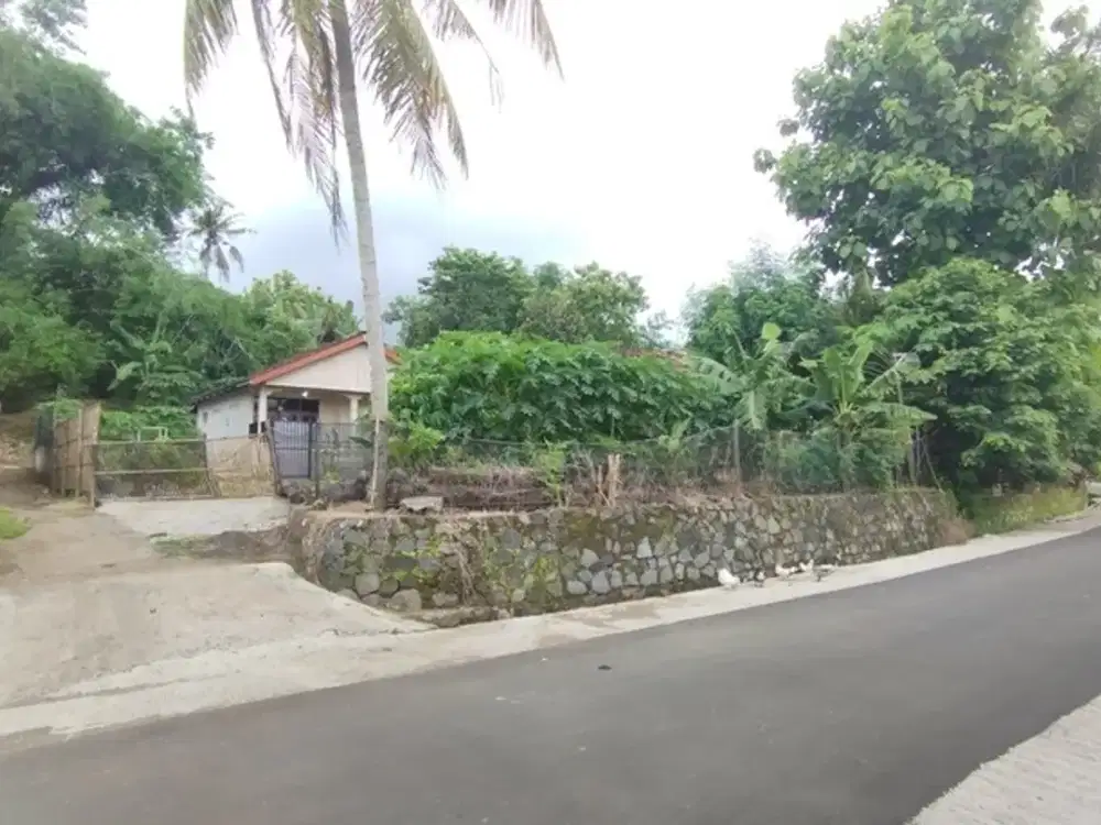 Rumah halaman luas view Sawah di Sleman