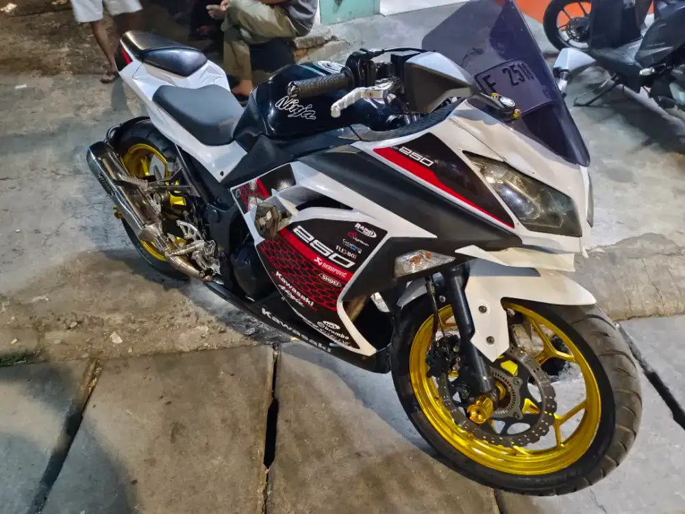 Kawasaki Ninja fi 250CC Dua Silinder Tahun 2013 ABS MesinHalus SiapGas