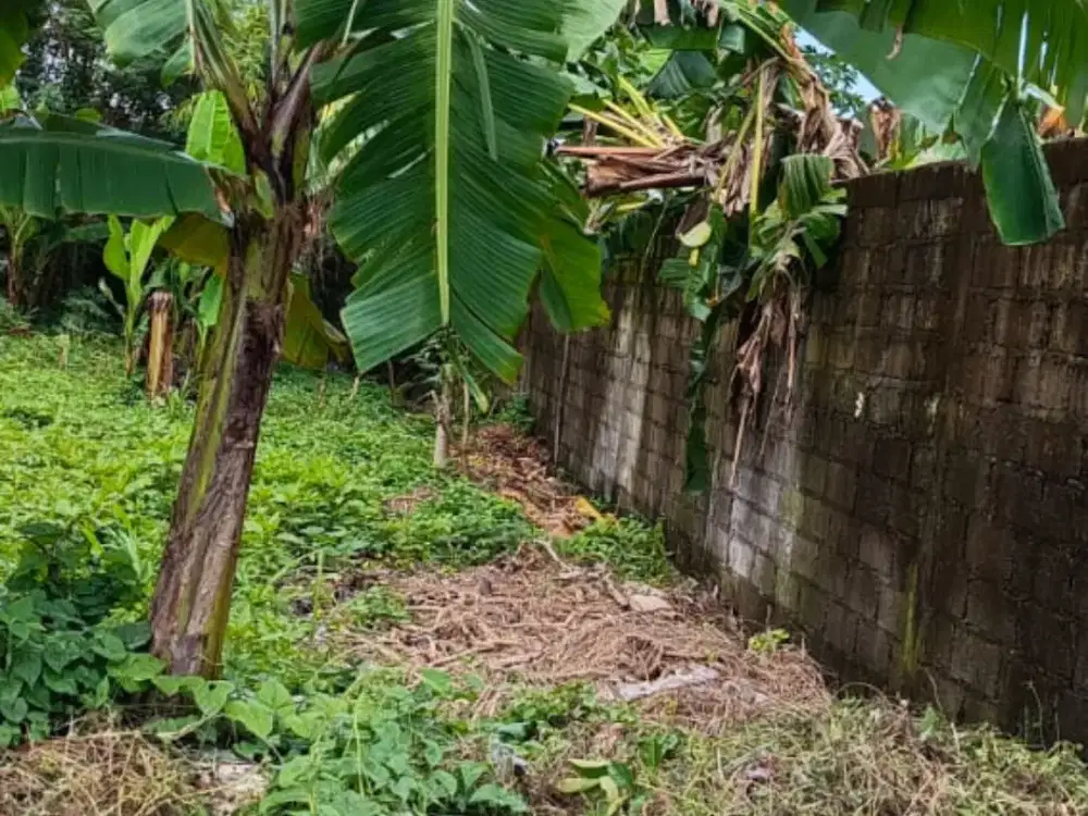 tanah strategis di pusat kota Renon  jalan BADAK AGUNG utama