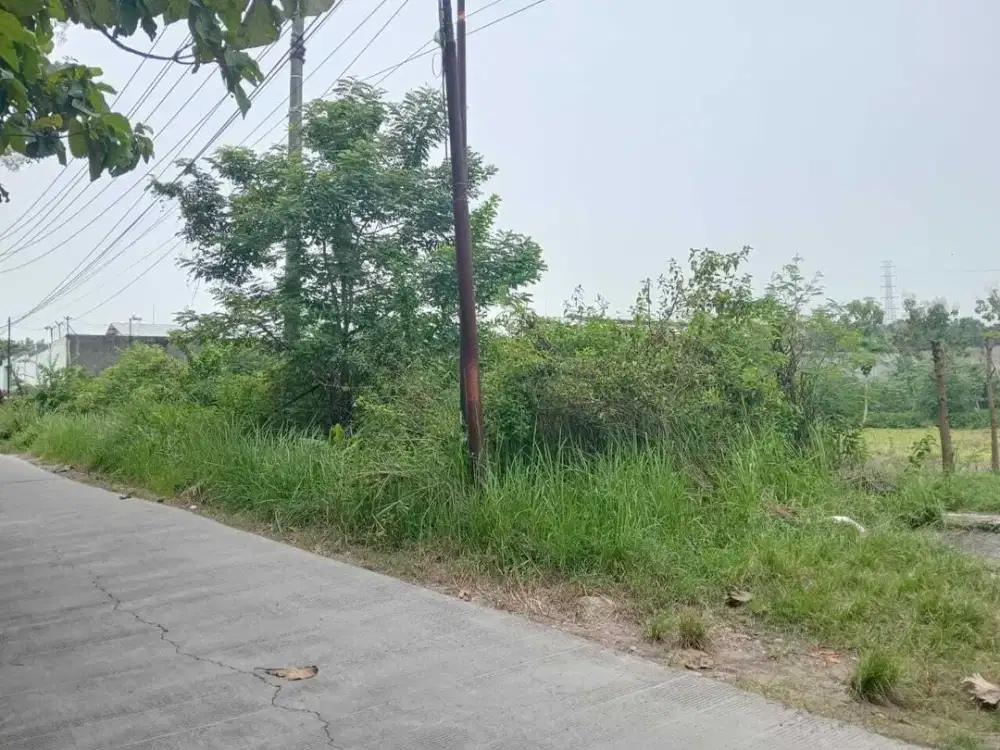 tanah zona industri murah dekat pintu tol gondangrejo