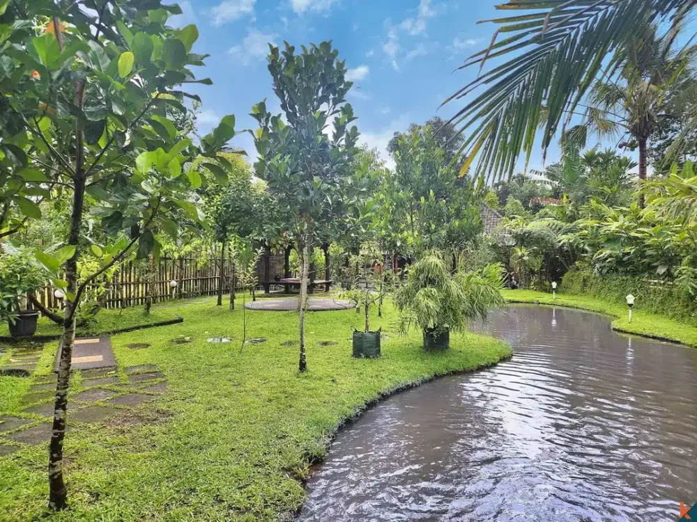 For Sale Amazing Tabanan Land With Beautiful Villa Jungle View