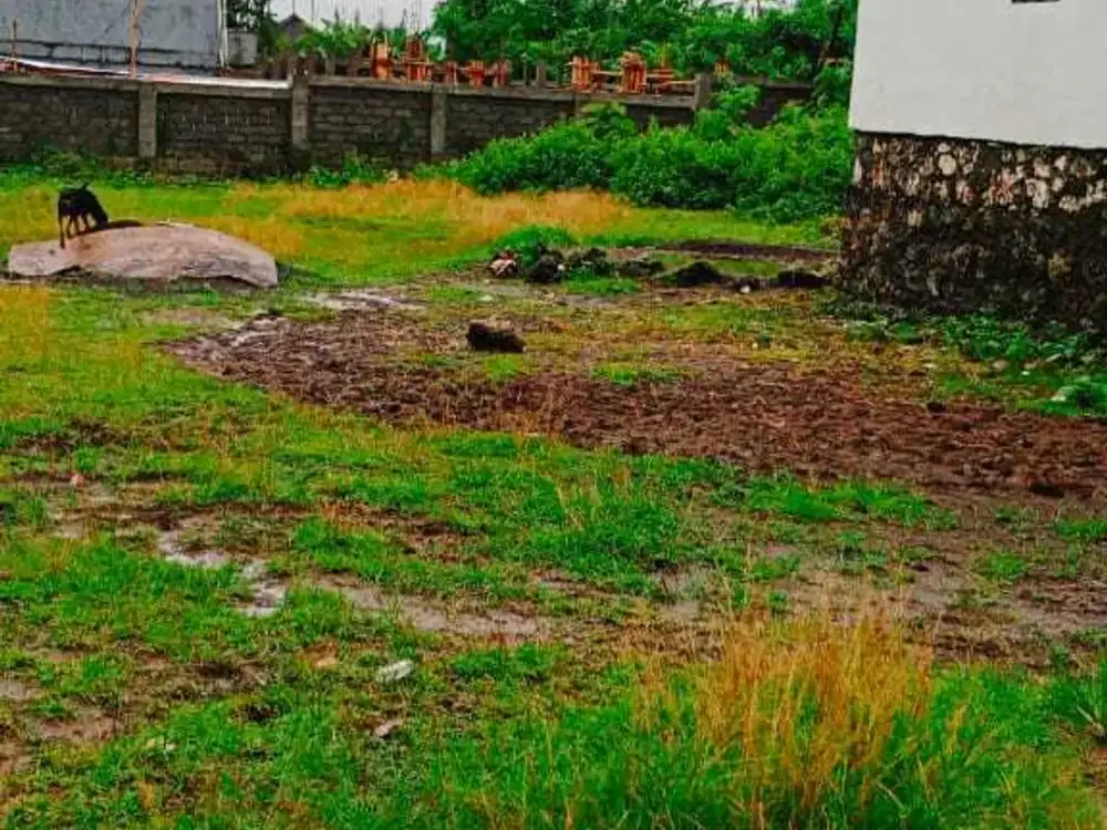 Dijual Sebidang Tanah Kosong Kawasan Mas, Ubud, Gianyar, Bali
