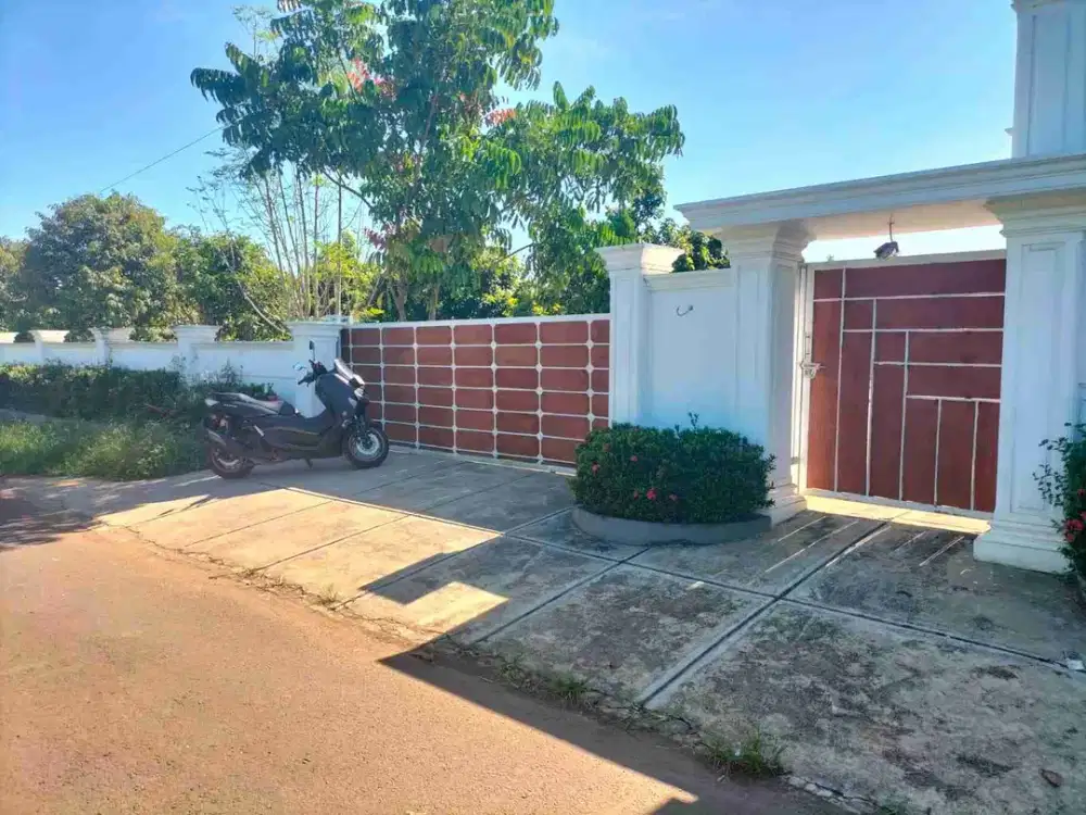 jual rumah mewah dan kebun alpukat