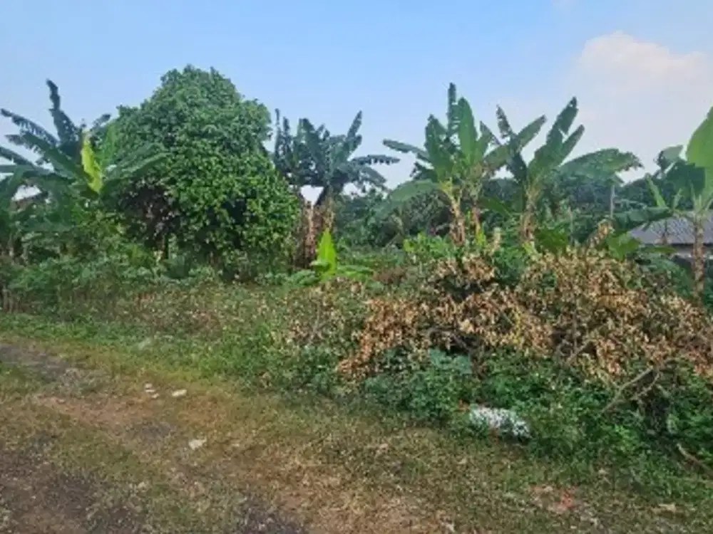 TANAH LAPANG DI LOKASI STRATEGIS BOGOR