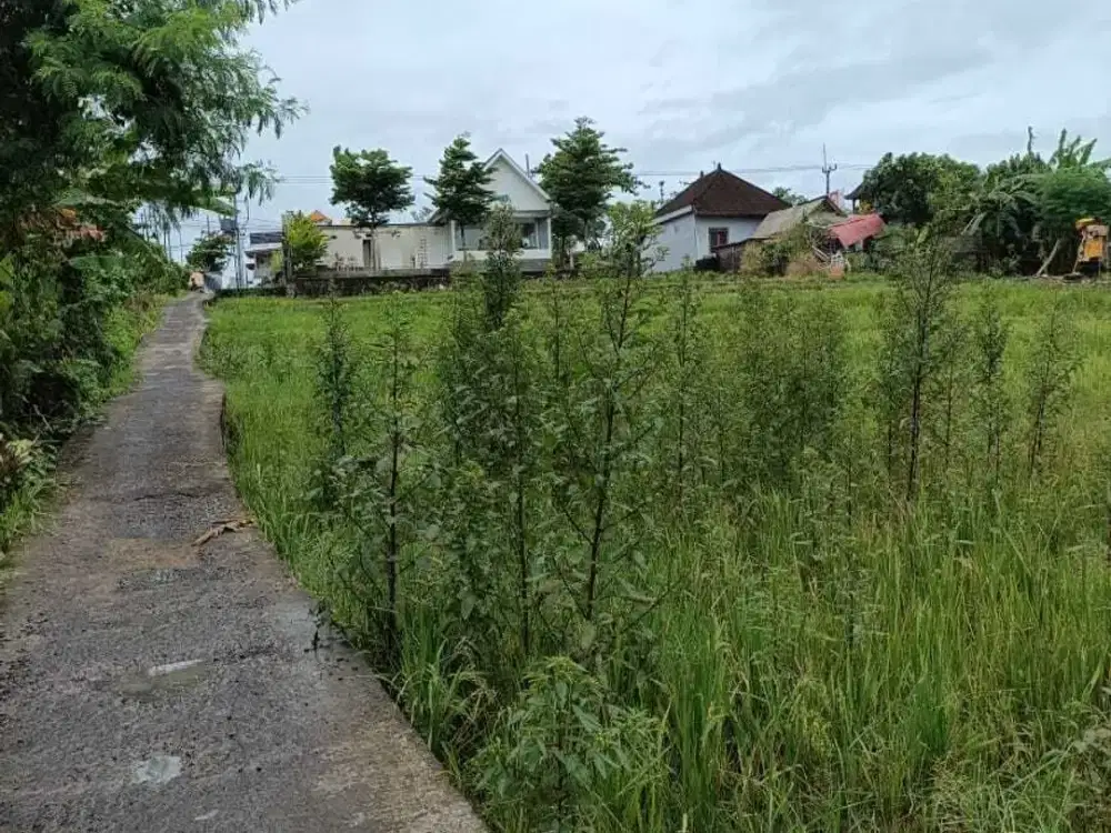 Dijual Tanah Di Kawasan Tumbak Bayuh Canggu